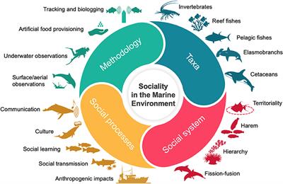 Editorial: Sociality in the Marine Environment